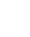 x-icon